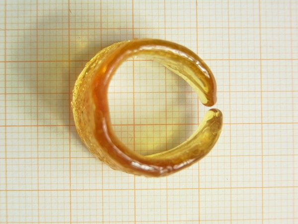 ���������饹�ܥ���